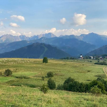 Apartament pod Wierchem Zakopane Zewnętrze zdjęcie