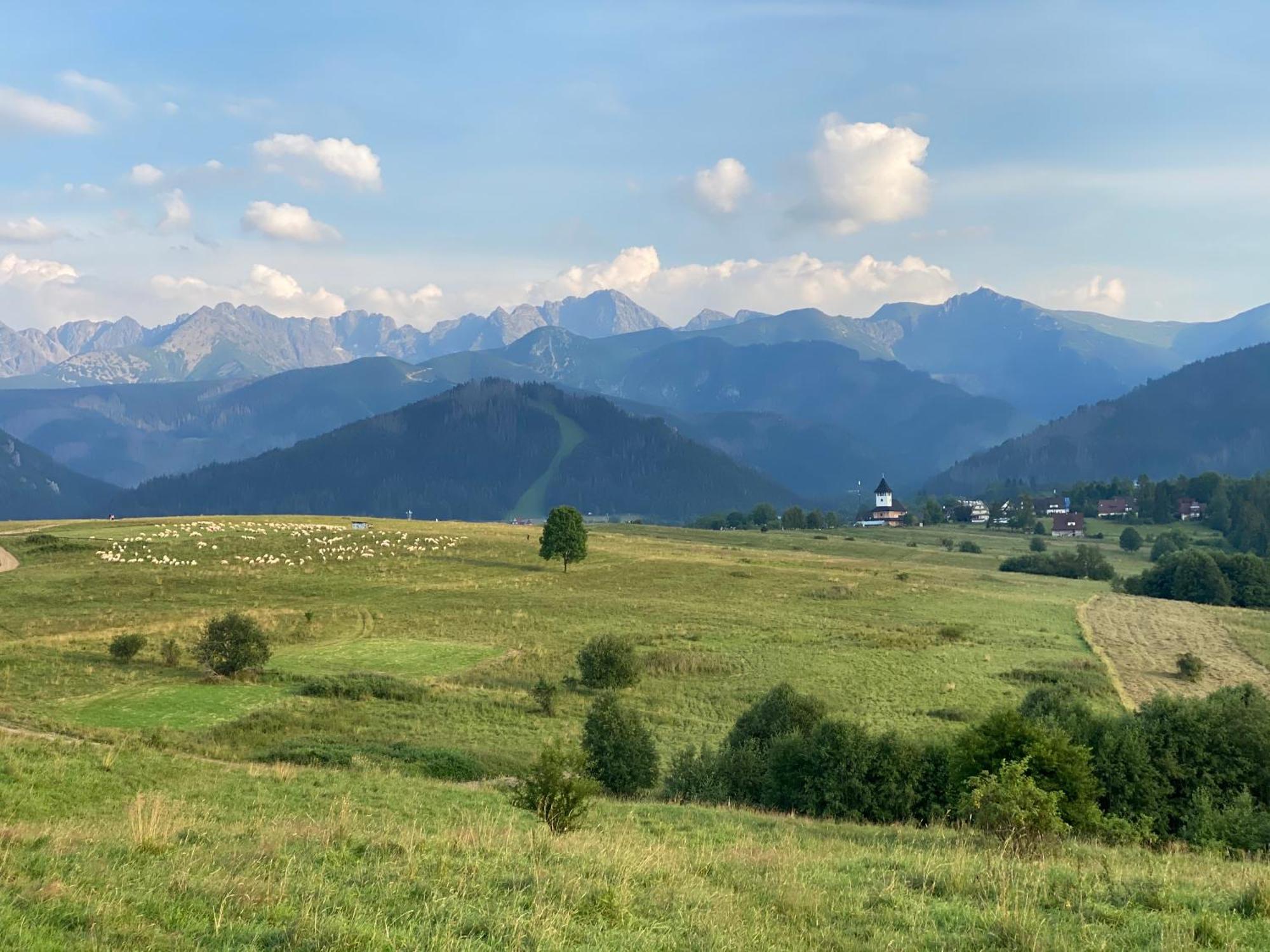 Apartament pod Wierchem Zakopane Zewnętrze zdjęcie