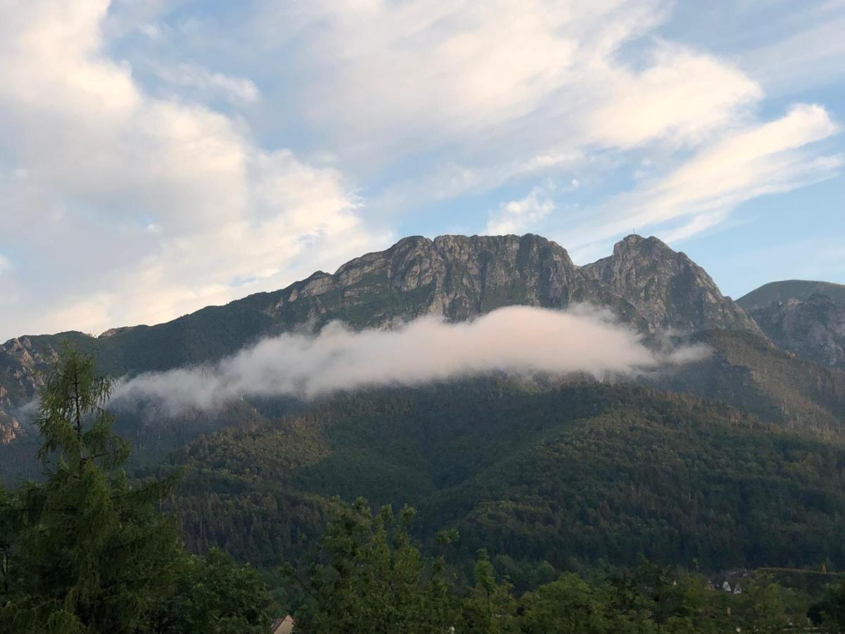 Apartament pod Wierchem Zakopane Zewnętrze zdjęcie