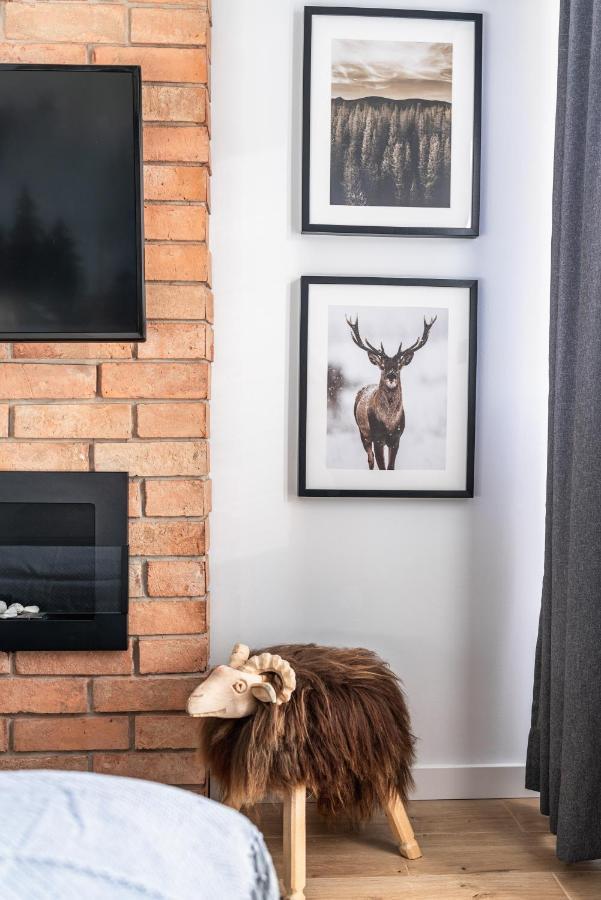 Apartament pod Wierchem Zakopane Zewnętrze zdjęcie